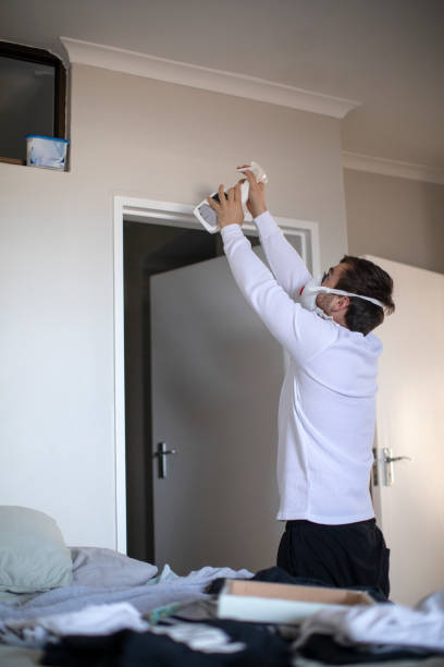 Best Residential Mold Inspection & Testing  in Whitmire, SC