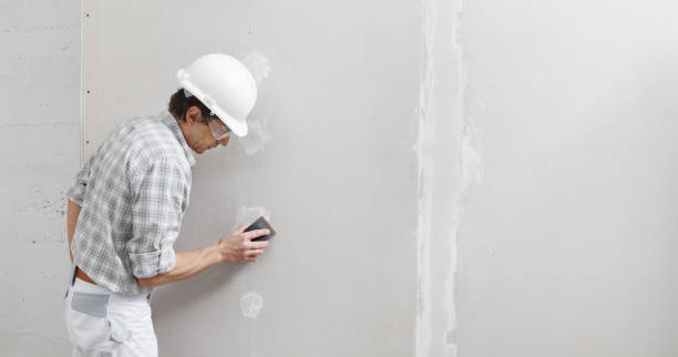 Best Industrial Mold Remediation  in Whitmire, SC