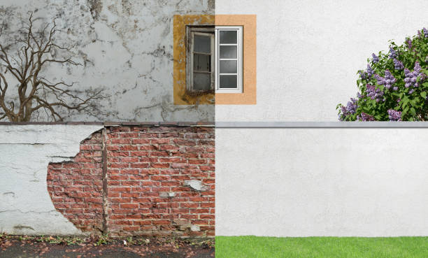 Best Water Damage & Mold Remediation  in Whitmire, SC