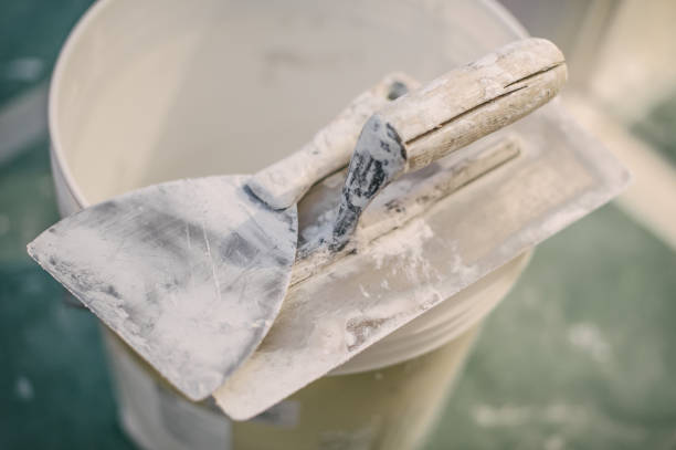 Best HVAC Mold Inspection and Cleaning  in Whitmire, SC