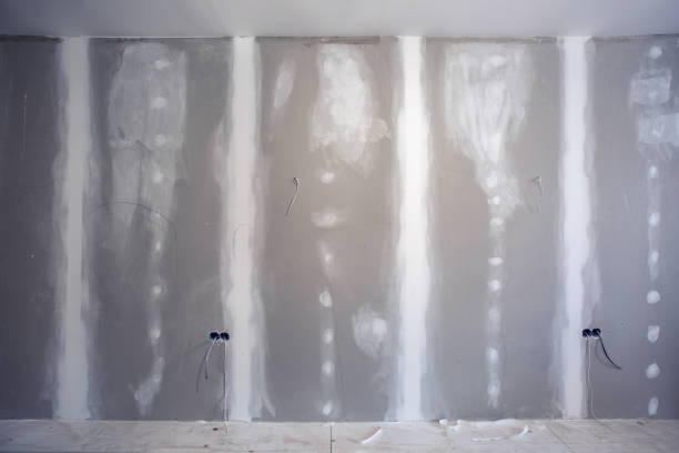 Best Biohazard Mold Removal  in Whitmire, SC